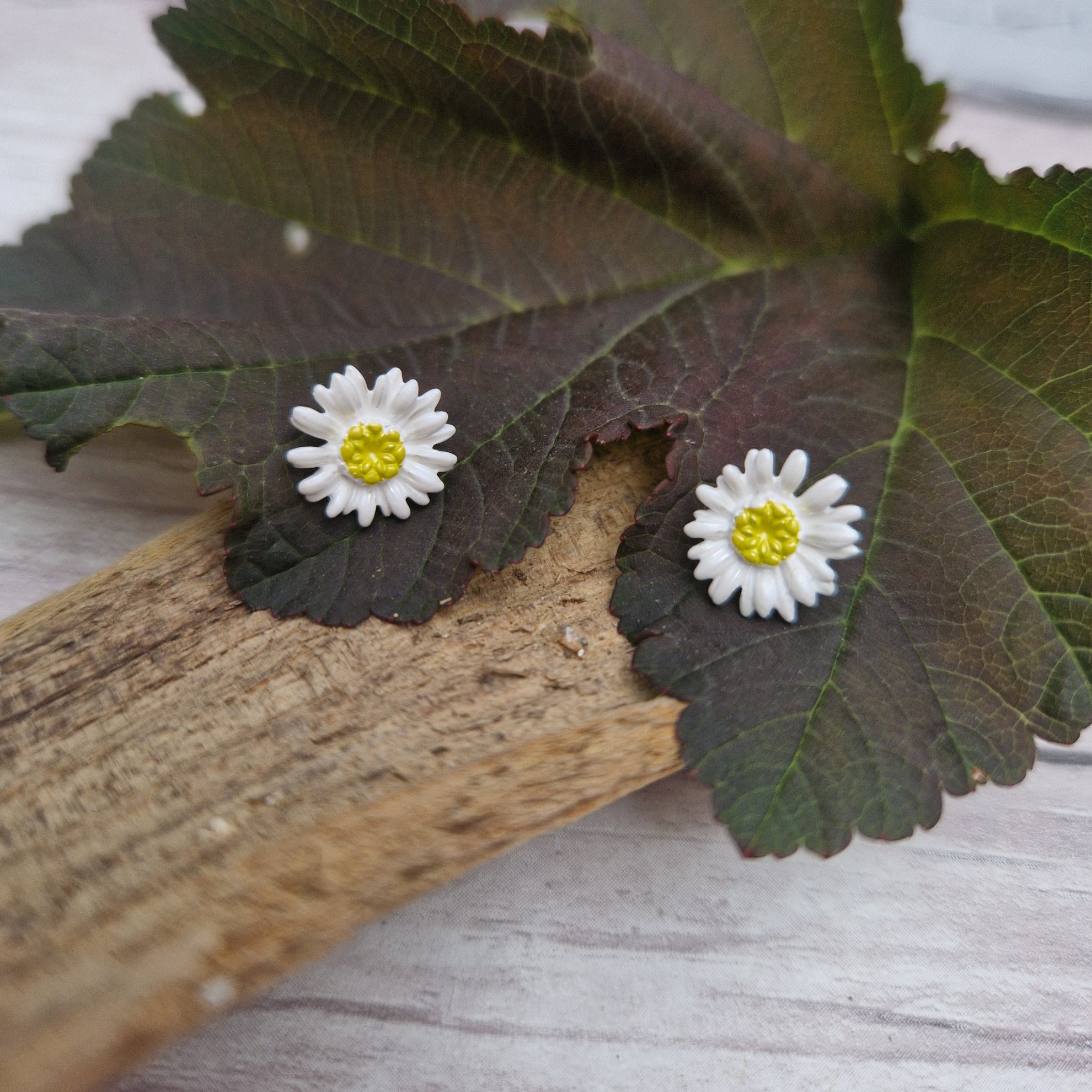 Pair of earrings in the shape of Daisies with yellow centres and white petals.